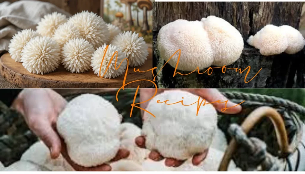 Lion’s Mane Mushroom Vegan-Friendly
