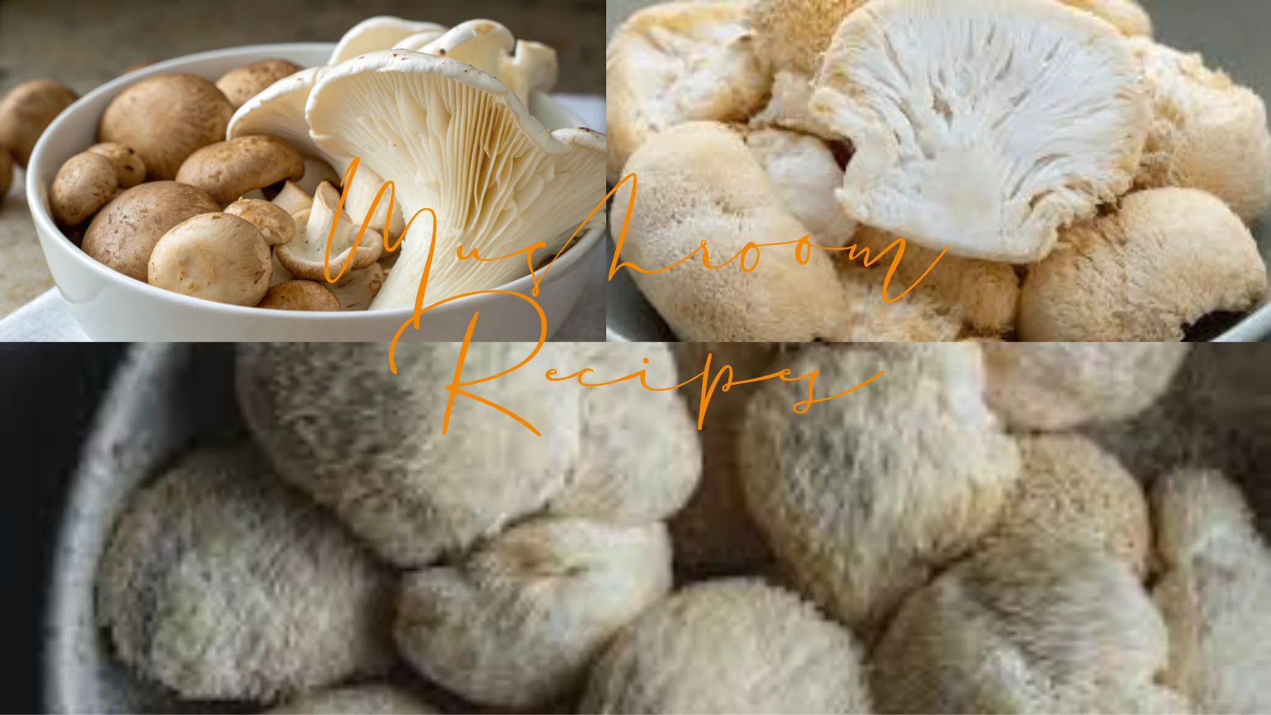 A collage of various fresh mushrooms, including cremini, oyster, and lion’s mane, arranged in bowls and close-up views with the text "Mushroom Recipes" overlaid in orange script.